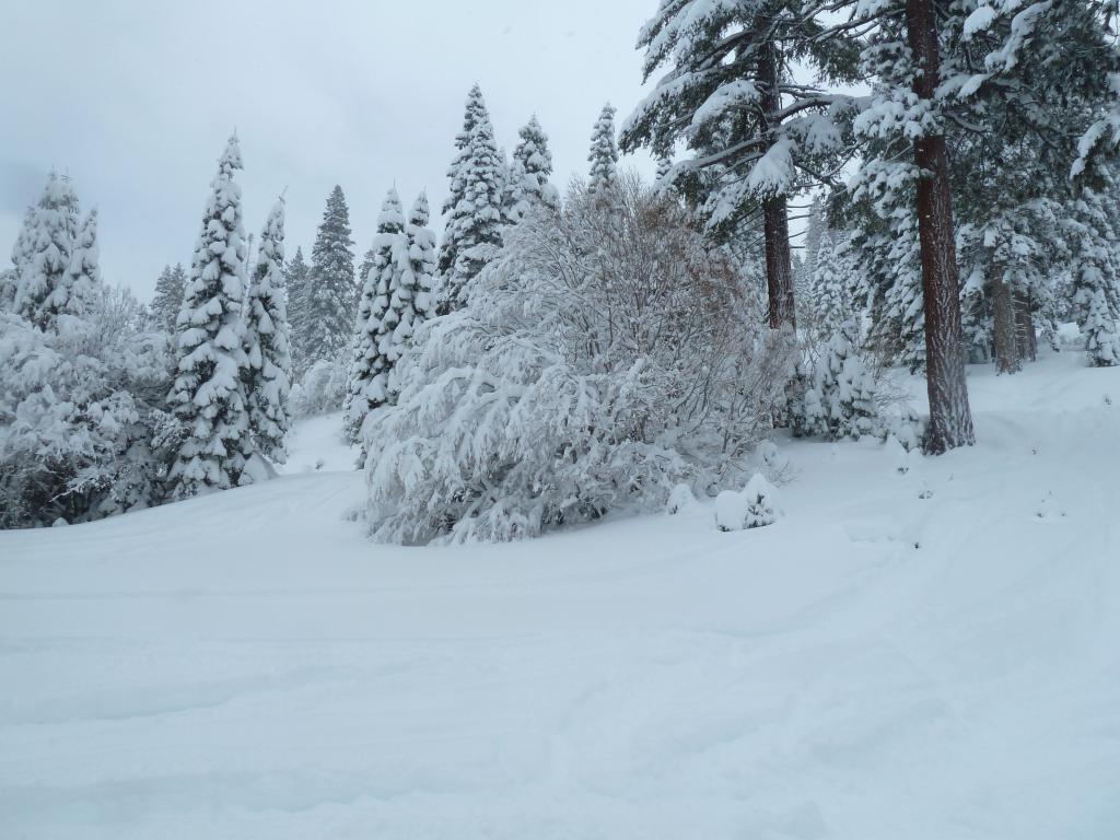 325 - 20120317 Day2 Northstar