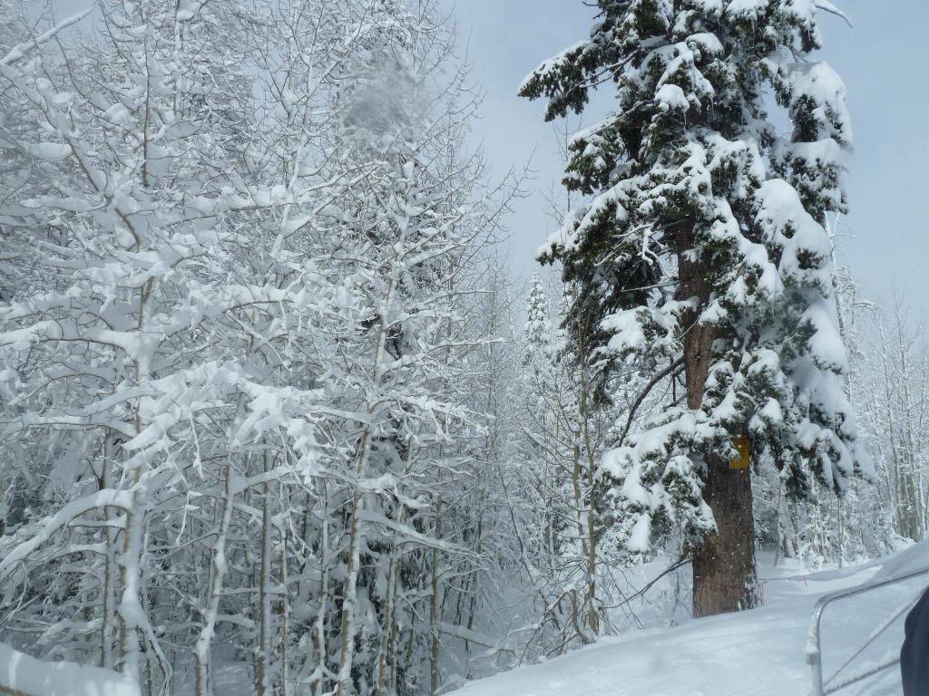 329 - 20120317 Day2 Northstar