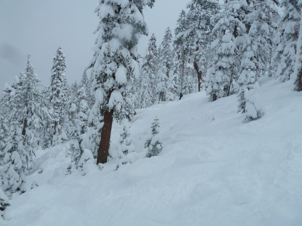 342 - 20120317 Day2 Northstar