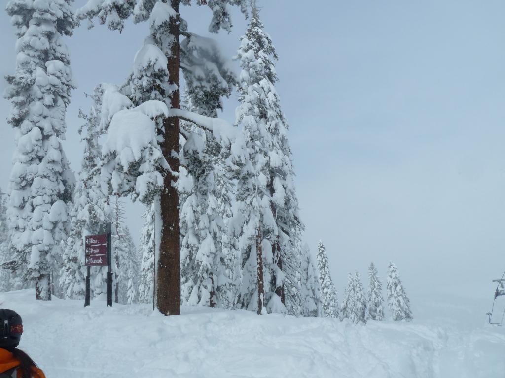 345 - 20120317 Day2 Northstar