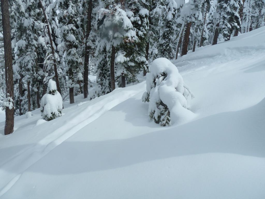 346 - 20120317 Day2 Northstar