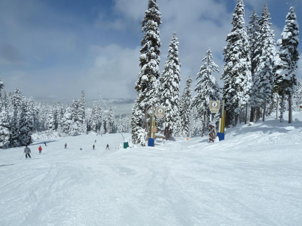 358 - 20120317 Day2 Northstar