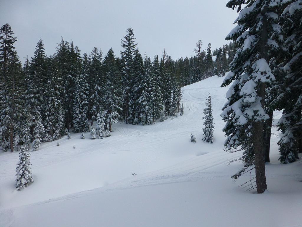 125 - 20121218 Kirkwood