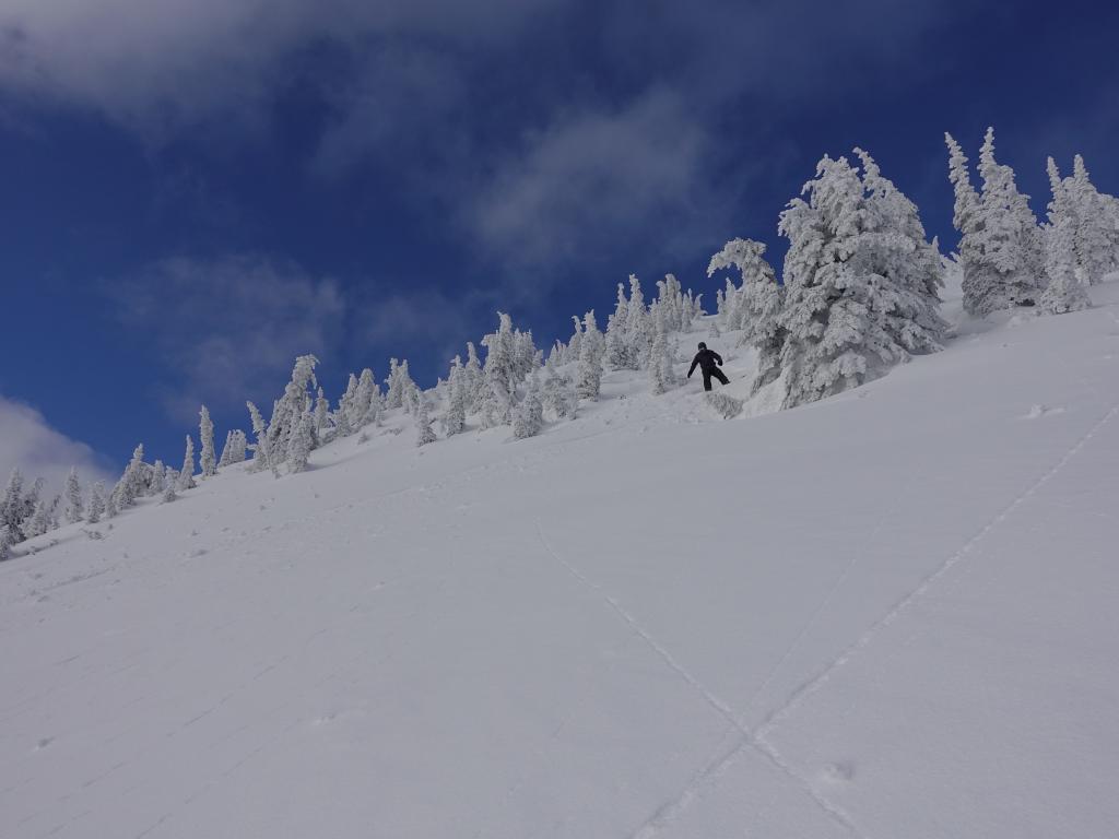 149 - 20170217 Revelstoke