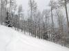 207 - 20230222 Day2 Snowmass Google