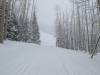 213 - 20230222 Day2 Snowmass Google