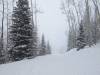 214 - 20230222 Day2 Snowmass Google