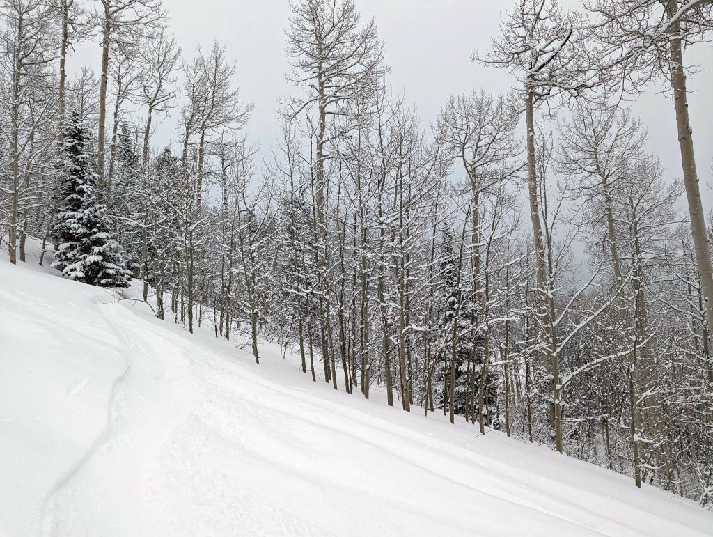 207 - 20230222 Day2 Snowmass Google