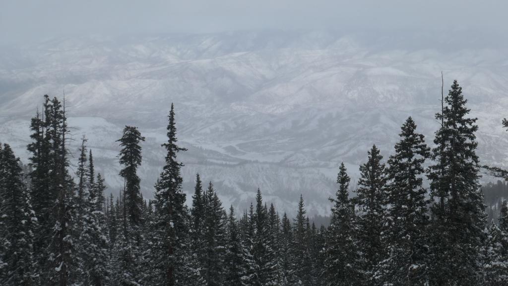 224 - 20230222 Day2 Snowmass Panasonic