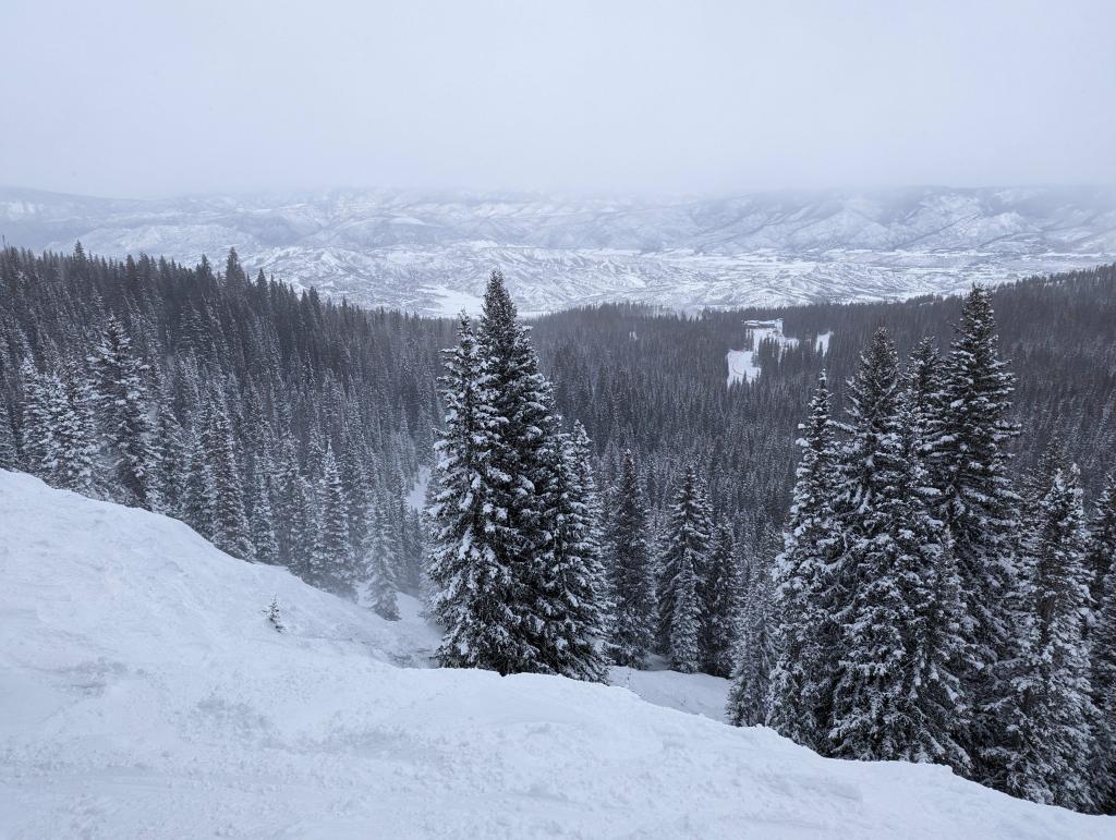 325 - 20230223 Day3 Snowmass Google