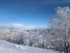 2116 - 20240124 Niseko Day2