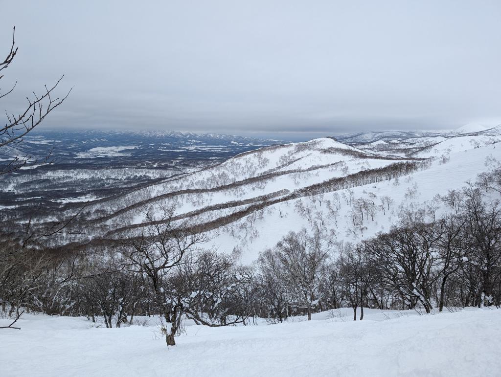 1114 - 20240121 Niseko Day1