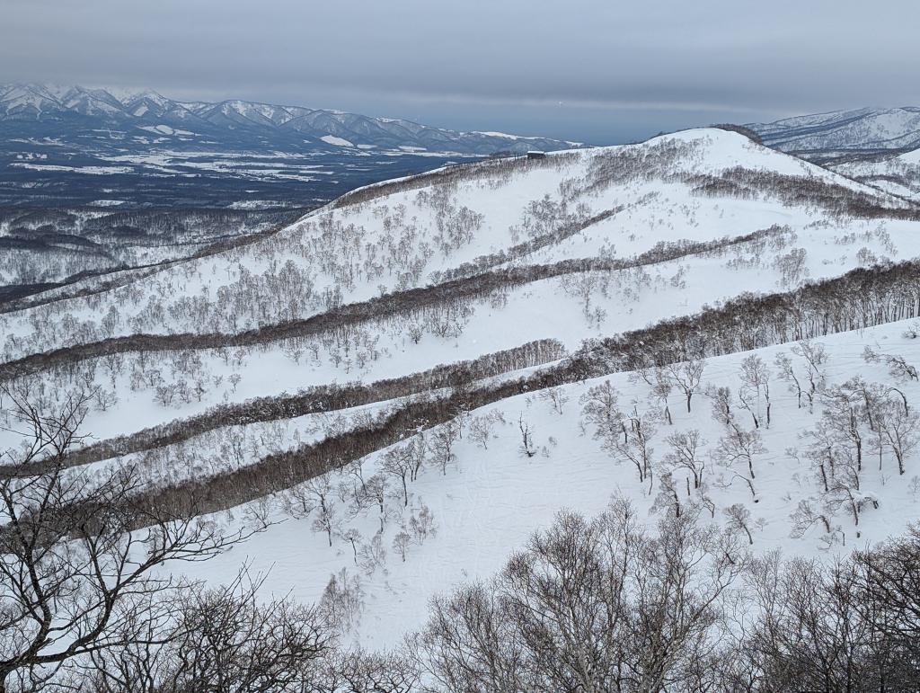 1115 - 20240121 Niseko Day1