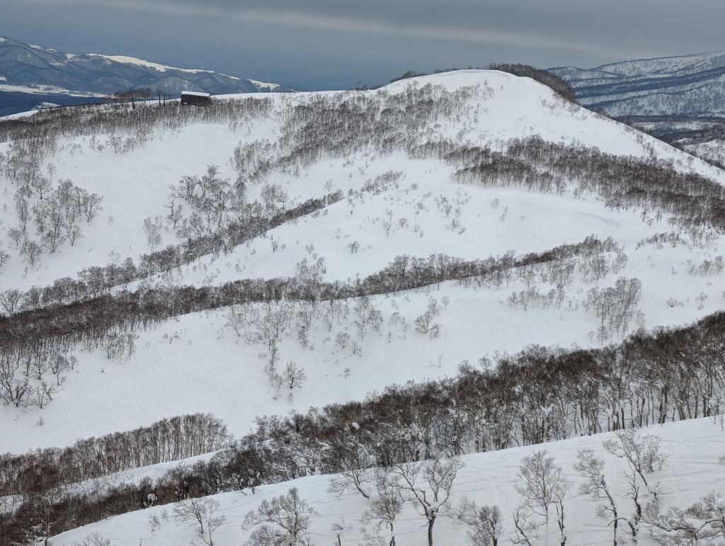 1120 - 20240121 Niseko Day1