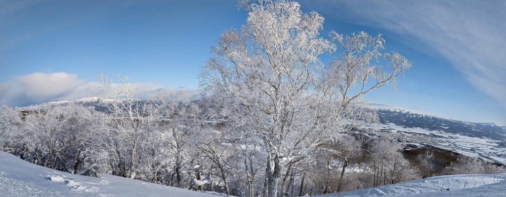 2113 - 20240124 Niseko Day2