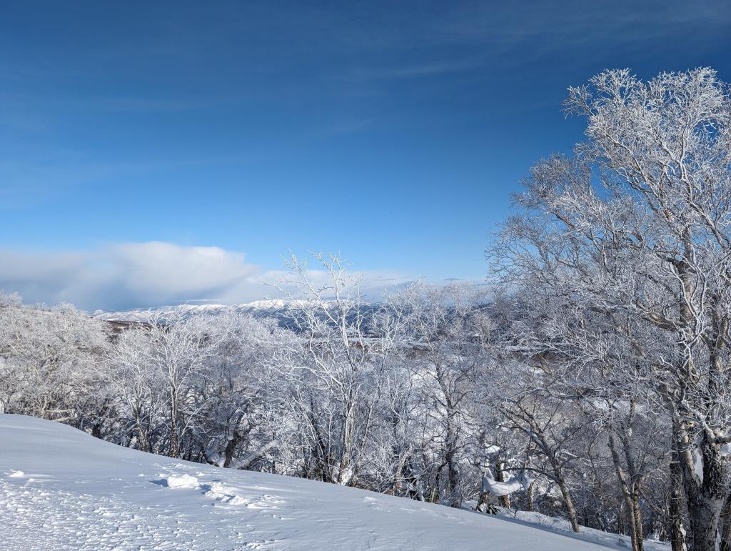 2116 - 20240124 Niseko Day2