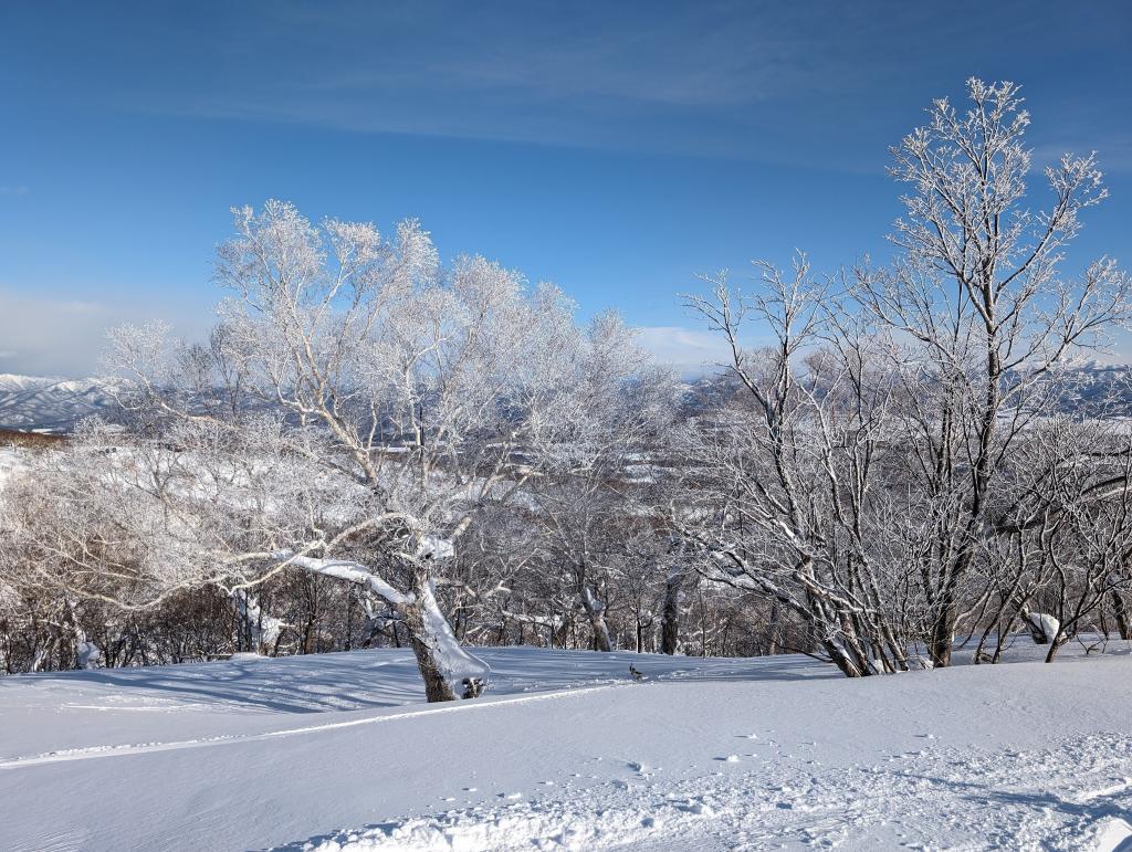 2118 - 20240124 Niseko Day2