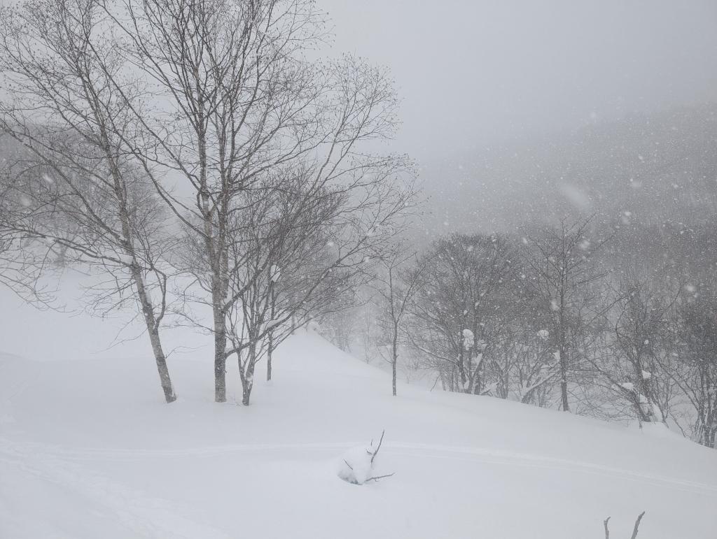 2143 - 20240124 Niseko Day2