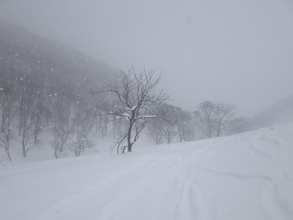 2144 - 20240124 Niseko Day2