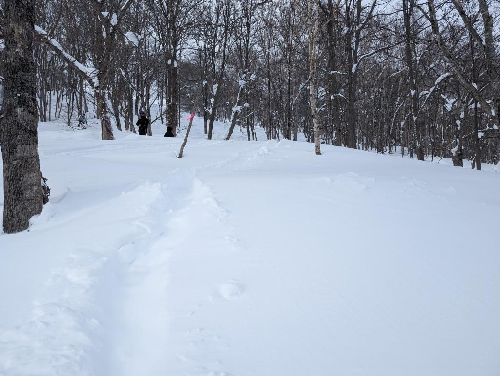 3108 - 20240125 Niseko Day3