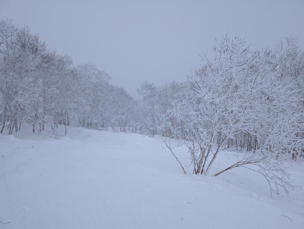 4108 - 20240126 Niseko Day4