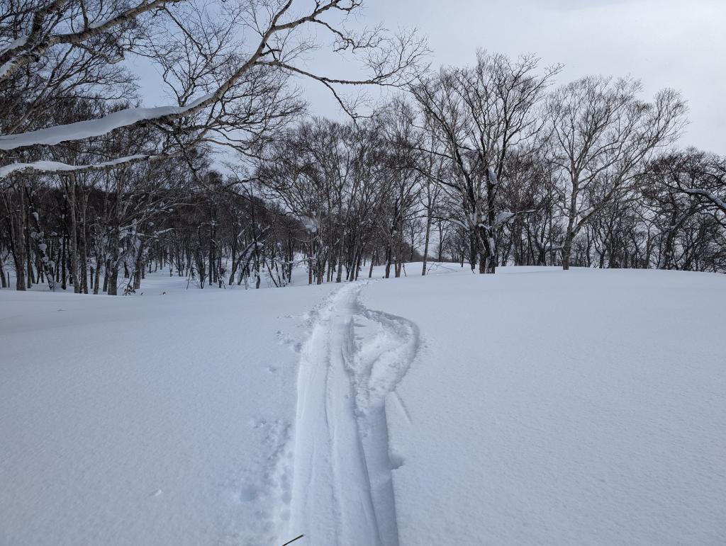 4112 - 20240126 Niseko Day4