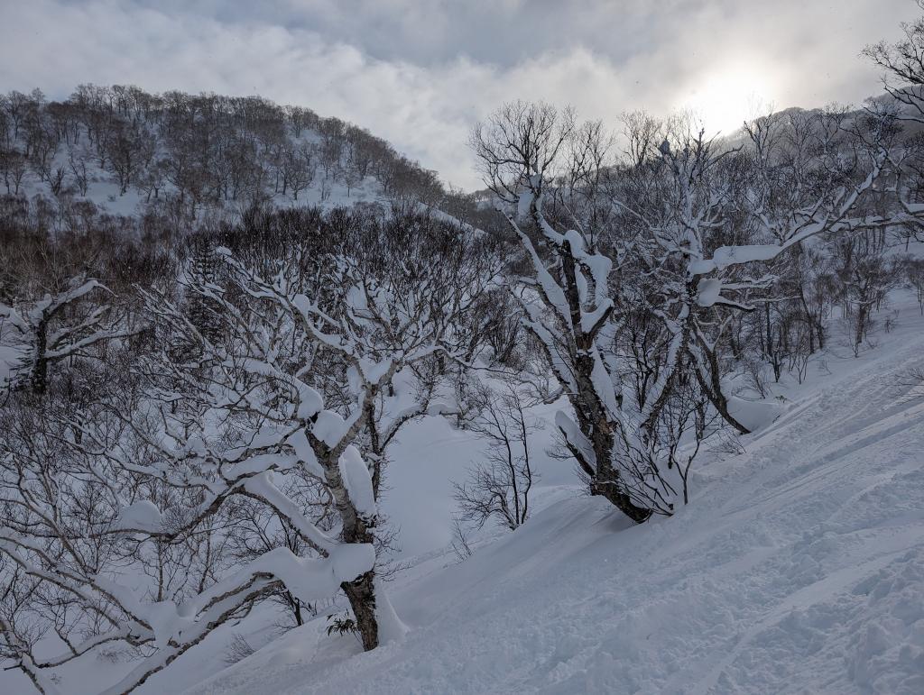 4125 - 20240126 Niseko Day4