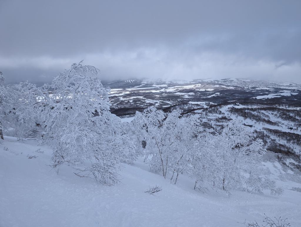 5130 - 20240127 Niseko Day5