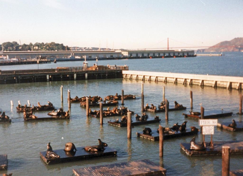 180 - San Francisco