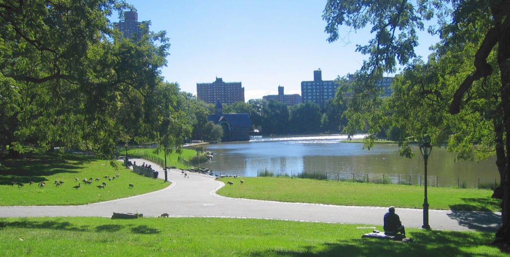 407 - CentralPark