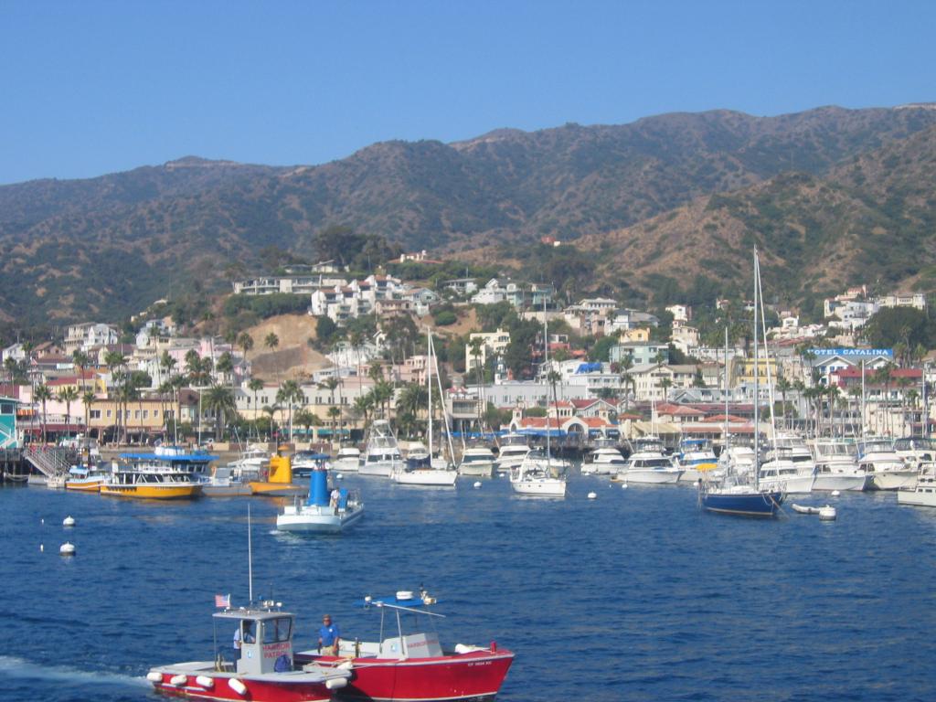 104 - To Catalina