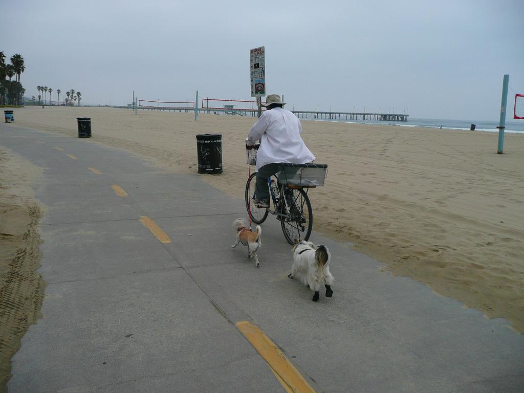 207 - SantaMonica Venice MarinaDelRey Boardwalk Beach