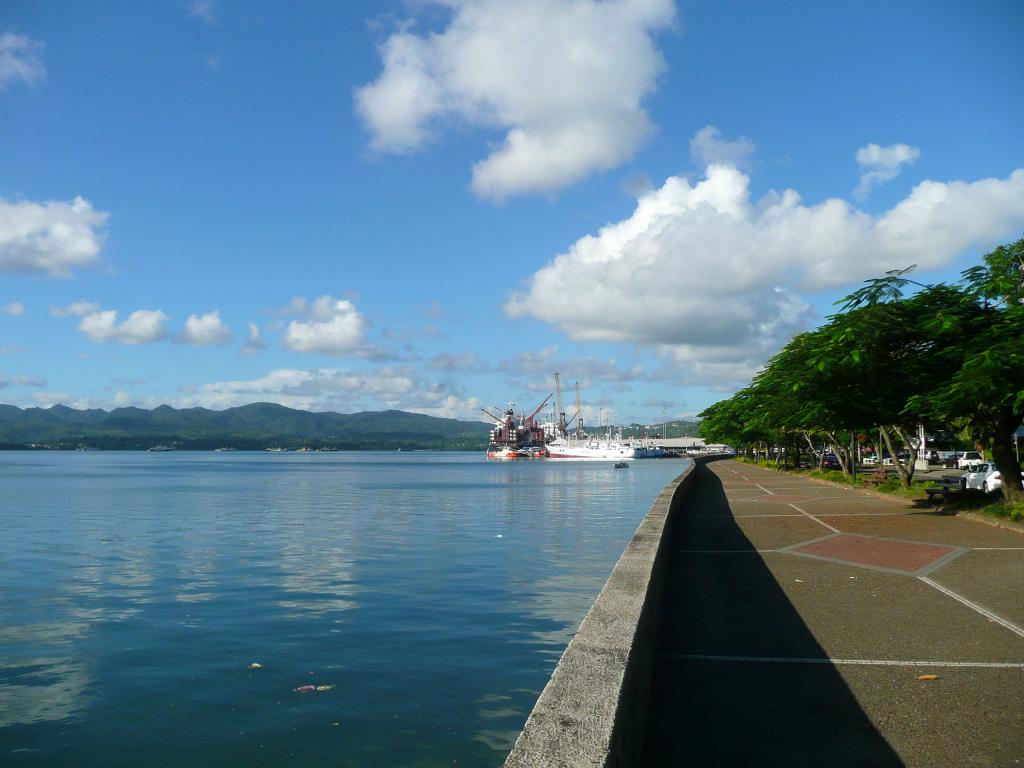 219 - Suva