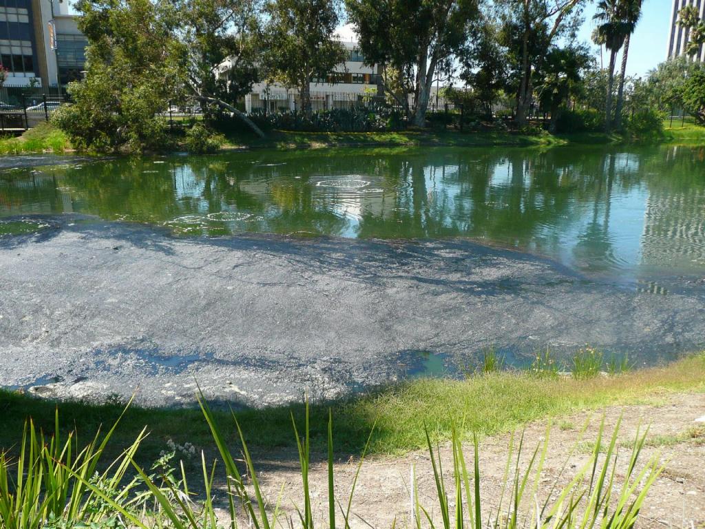 121 - LaBreaTarPits