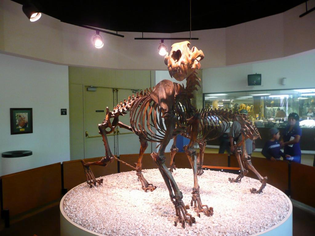 128 - LaBreaTarPits