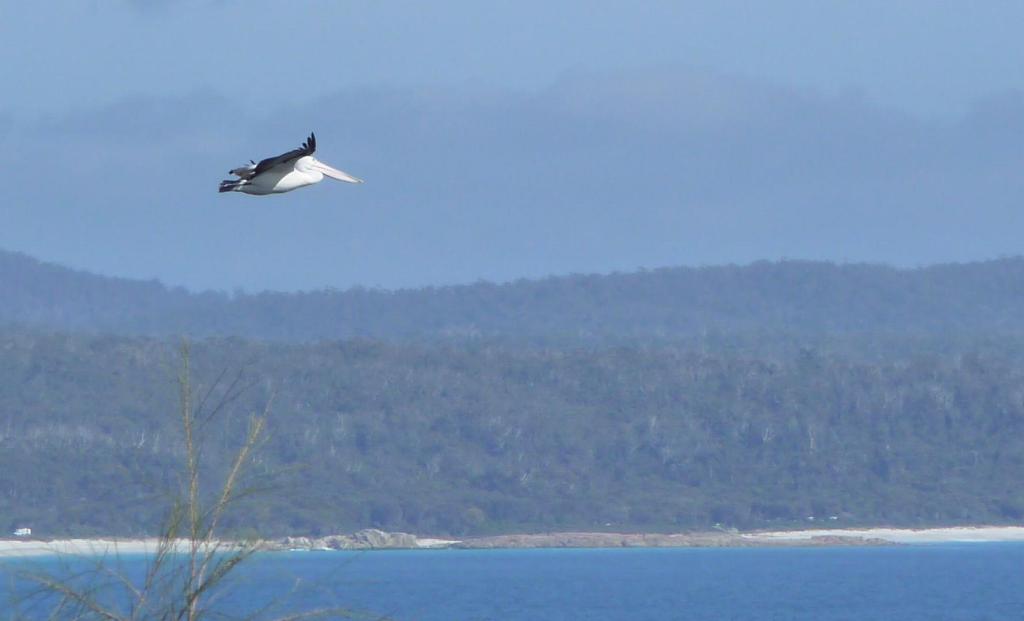 218 - Day2 Bay Of Fires