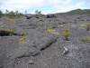 Album: Hawaii Volcanoes National Park