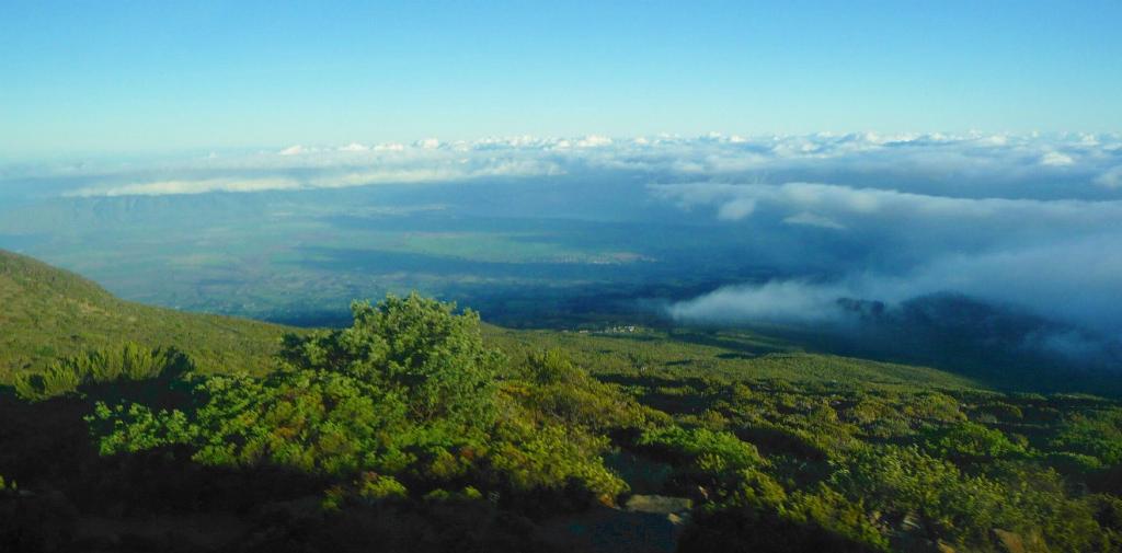 3167 - Maui Haleakala