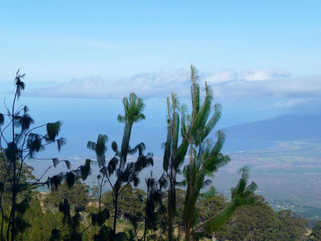 3177 - Maui Haleakala