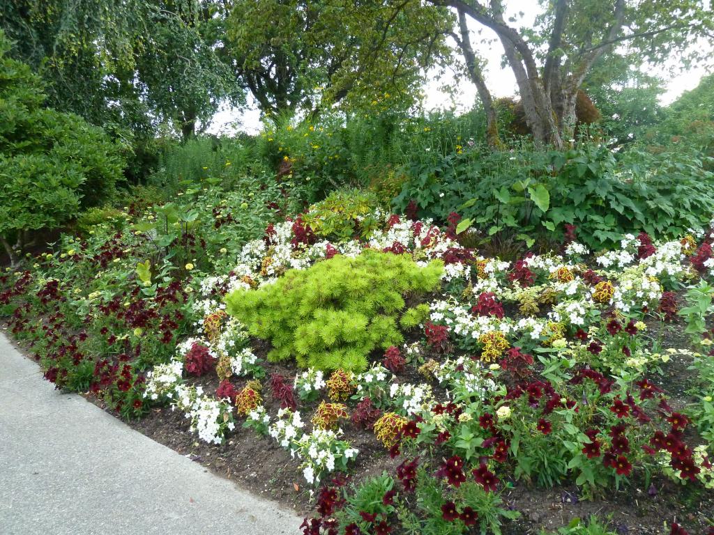 850 - Bloedel Conservatory