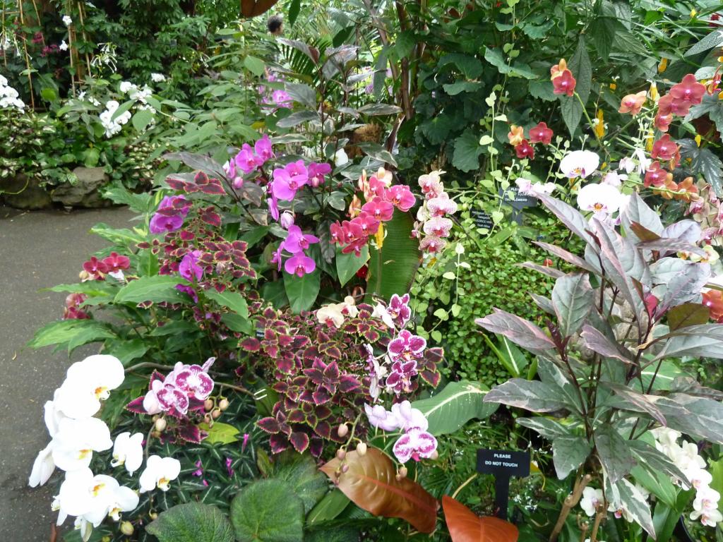 860 - Bloedel Conservatory