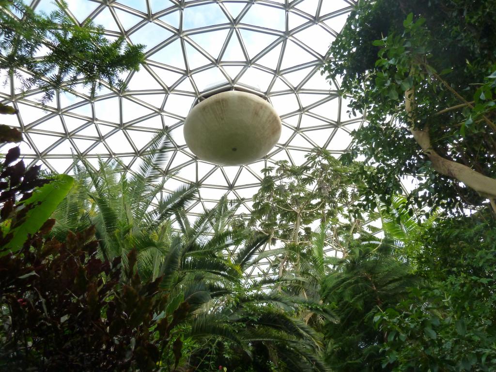 881 - Bloedel Conservatory