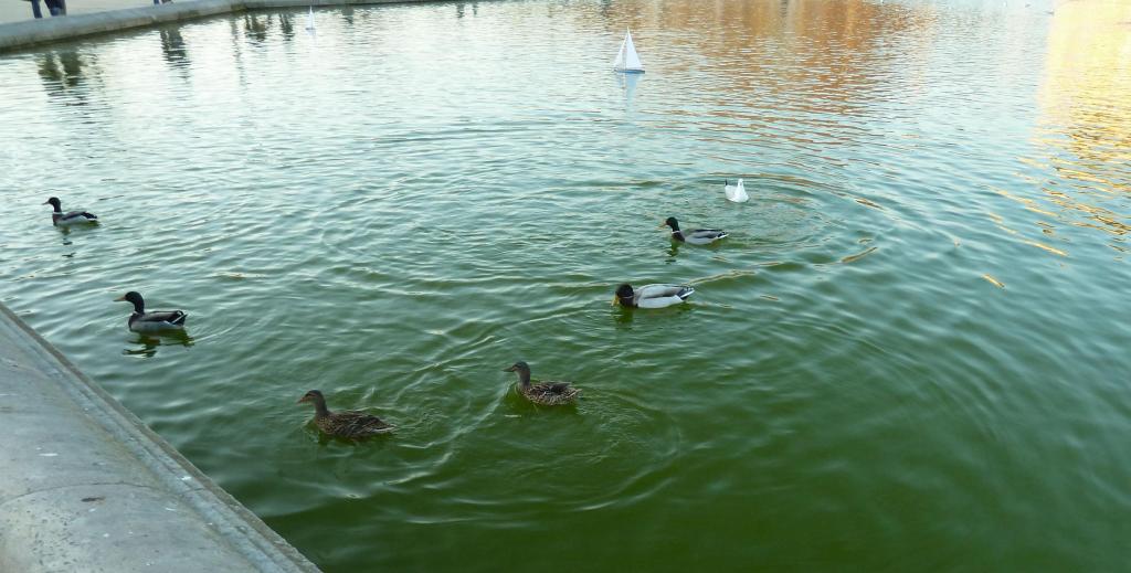 354 - Jardin du Luxembourg