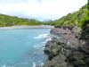 Album: 2013/02/02 - Lord Howe Island