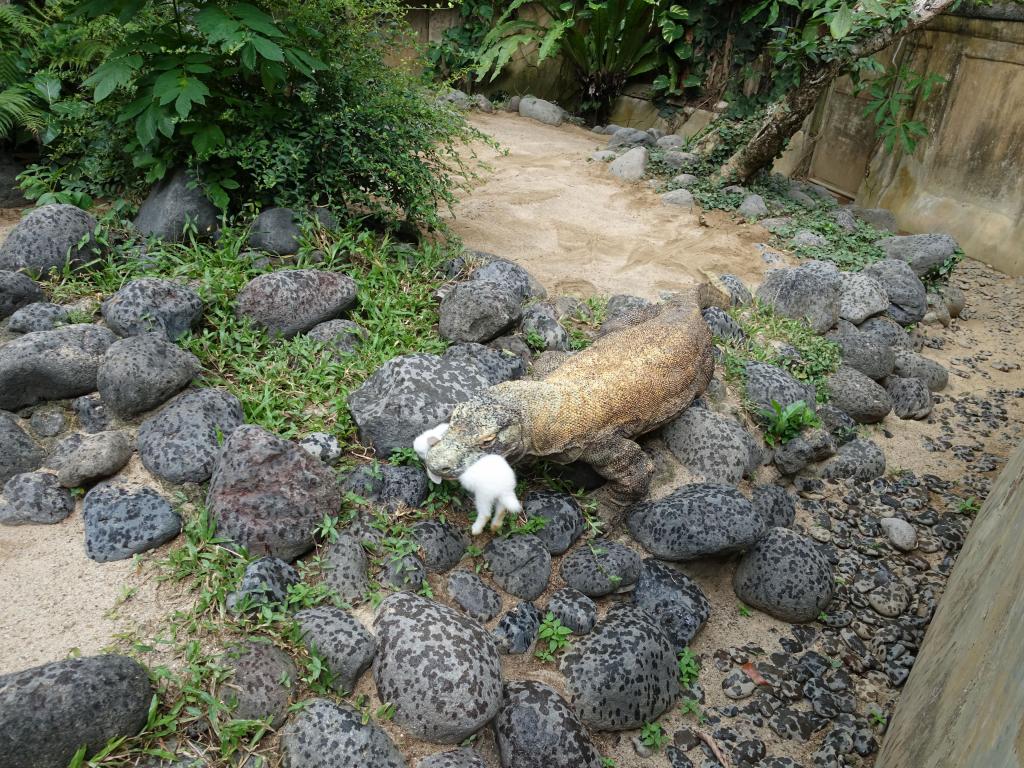 312 - 20160505 Bali Day1