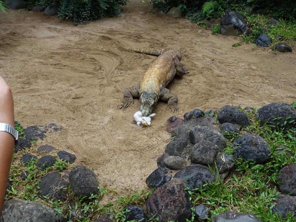 370 - 20160505 Bali Day1