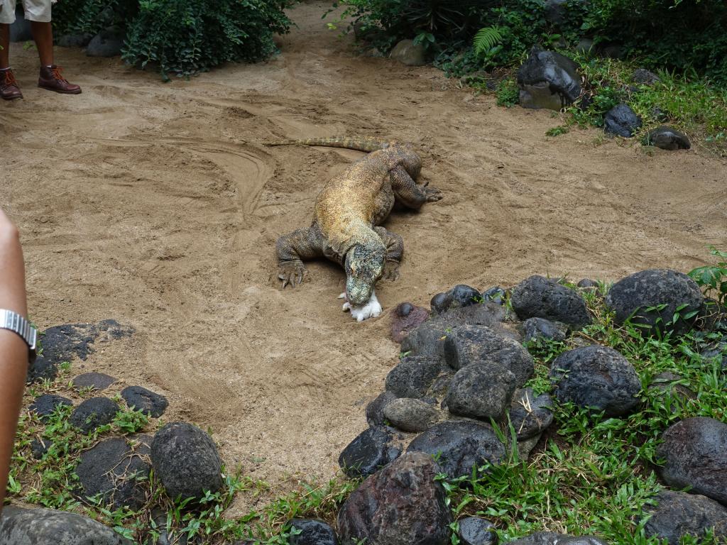 391 - 20160505 Bali Day1