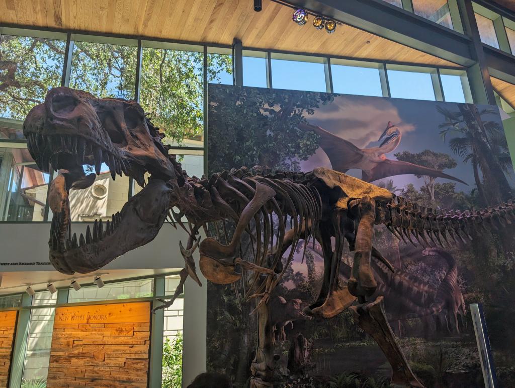 3305 - 20240412 Witte Museum Google