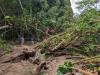 1319 - 20241204 Kauai Kayak Waterfall Google