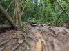 1322 - 20241204 Kauai Kayak Waterfall Google